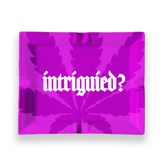 TRGN. INTRIGUED Purple Space " Rollup Tray